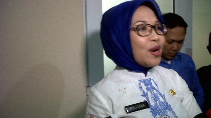 Sylviana Murni Ternyata Dulunya None Jakarta, di Birokrasi Ia Menarik Perhatian Parpol