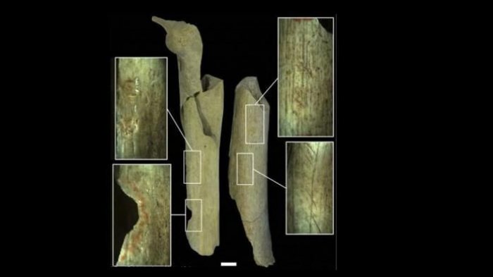 Pria Ini Berusia 129 Tahun Tertua di Dunia, Mengerikan Tiap Tahun Dia Melakukan Ritual Kanibal