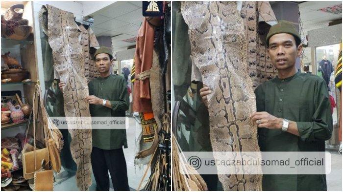 Unggah Foto Pegang Kulit Ular Raksasa, Ini Pesan Ustaz Abdul Somad soal Daging Haram & Kulit Suci