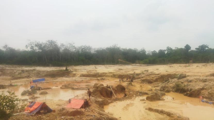 Kesaksian Anggota Koperasi di Tebo, Penambang Emas Liar Beraksi Malam Hari