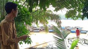 29062024-pembudidaya-ikan.jpg
