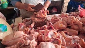 Harga-Ayam-Broiler-Stabil-di-Pasar-Tradisional-di-Jambi.jpg