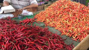 Harga-cabai-merah-di-Pasar-Kramat-Tinggi-Kabupaten-Batang-Hari.jpg