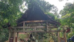 Hutan-lindung-milik-Pemerintah-Provinsi-Jambi-di-Tebo-Ilir-Tebo-tampak-tidak-terurus.jpg