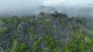 Lanskap-Bukit-Bulan-hutan-adat-MHA-Bathin-Jo-Penghulu-Marga-Bukit-Bulan-di-Sarolangun-asa.jpg