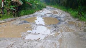 Masyarakat-Sungai-Bahar-Pertanyakan-Kinerja-Bupati-dan-DPRD-Kabupaten-Muaro-Jambi.jpg
