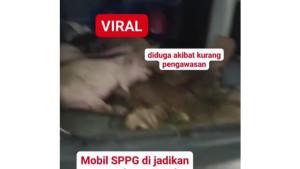 Mobil-MBG-Angkut-Babi.jpg