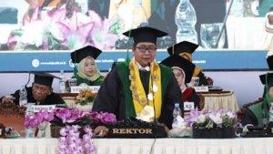 Plt-Rektor-UIN-STS-Jambi-Prof-Dr-H-Ahmad-Zainul-Hamdi-MAg.jpg