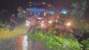 Pohon-Tumbang-Tutupi-Jalan-Lintas-Tebo-Bungo-Jambi.jpg