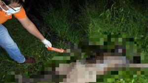 Pria-di-Merangin-jambi-Ditemukan-Meninggal-di-Kebun-Karet.jpg