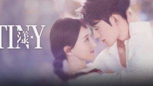 Sinopsis-Drama-China-Destiny.jpg