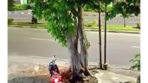 Viral-Pria-Misterius-Tabur-Tanah-Kuburan-di-Depan-Unbari-Jambi-Ternyata-Hoaks.jpg