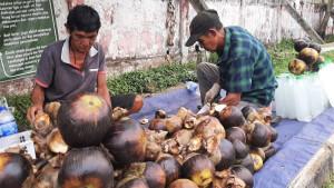 buah-lontar-jambi-26102025.jpg