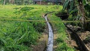 pembunuhan-mandor-proyek-bali-26102025.jpg