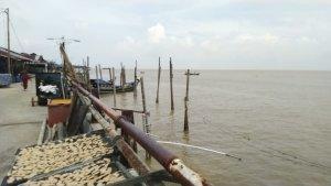 suasana-terkini-perairan-di-kecamatan-sadu-kabupaten-tanjabtim.jpg