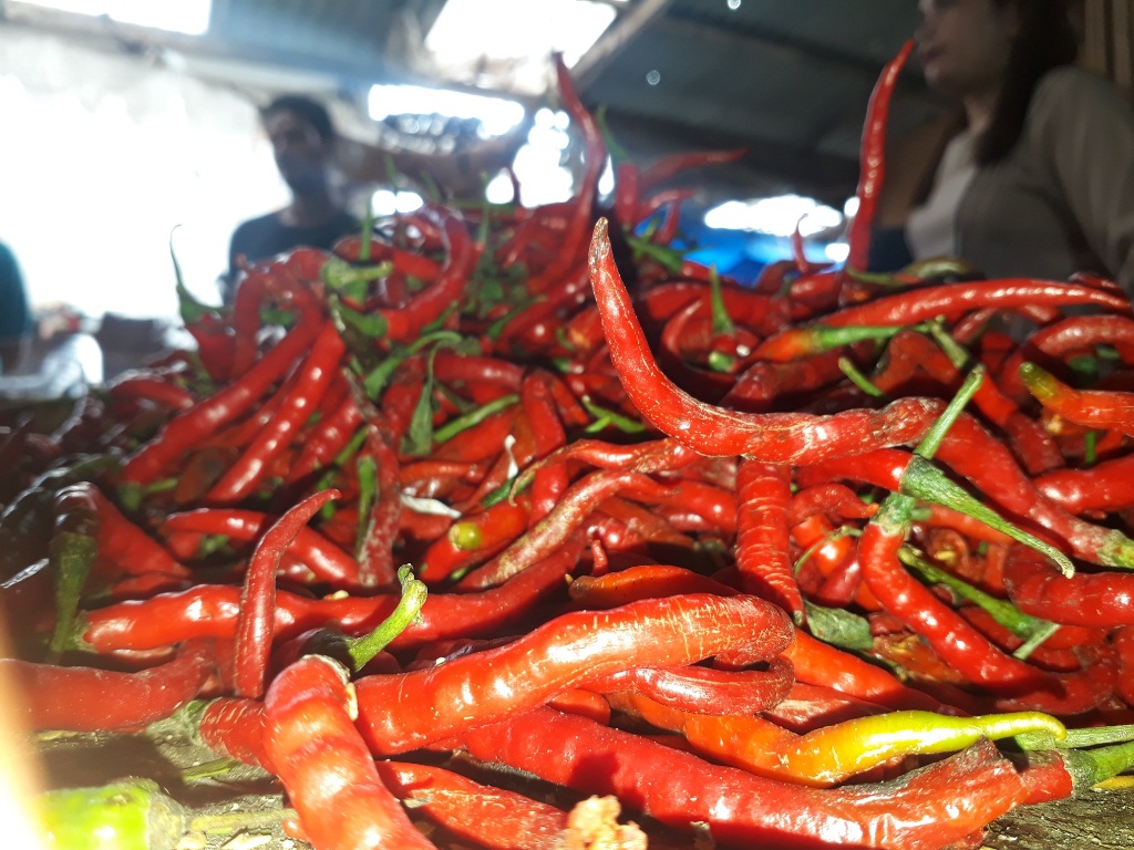Ternyata Ini Penyebab Harga Cabai Merah di Tanjab Barat Melonjak hingga Rp100 Ribu Sekilo