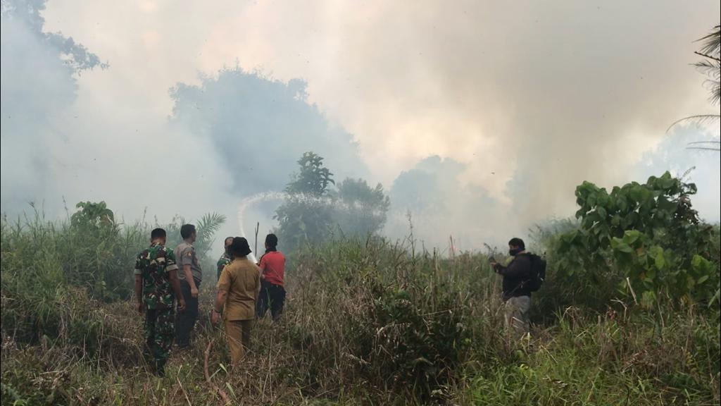 Lahan di Sekitar Kantor Bupati Muarojambi Terbakar, Tiga Mobil Damkar Dikerahkan untuk Padamkan Api