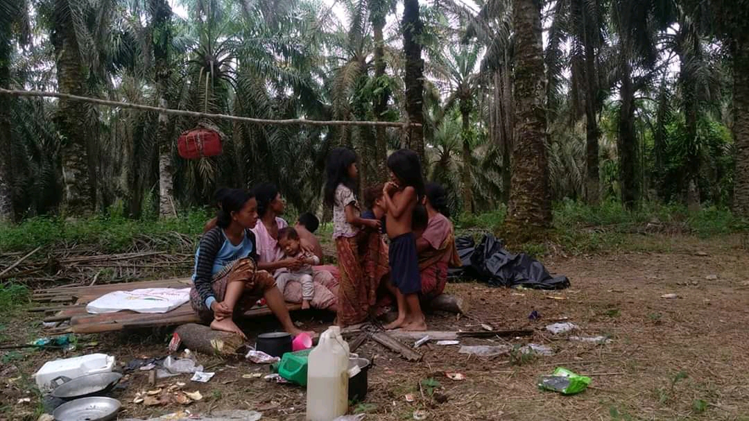 Pandemi, Bersesandingon, dan Cerita Hari Pendidikan dari Sudut Anak Rimba di Jambi