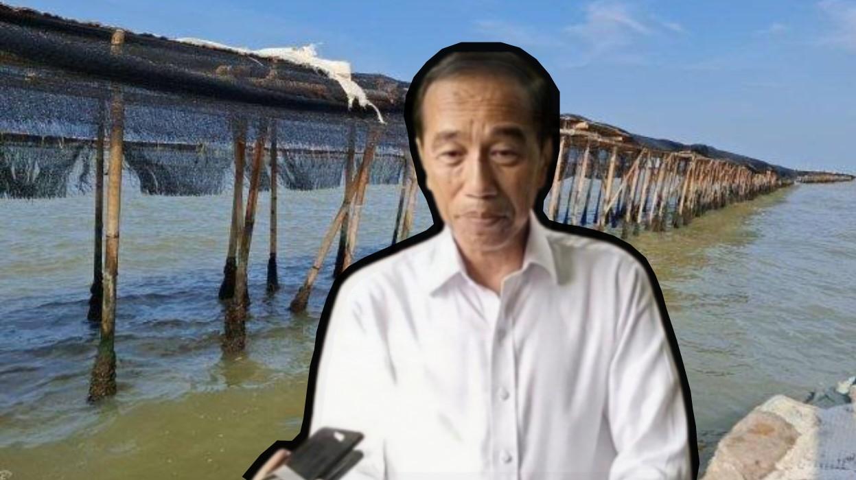0250125-Jokowi-soal-pagar-laut.jpg