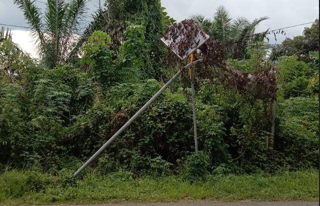 Lampu di Jalan Simpang Pulau Rengas-Jangkat Merangin Jambi Rusak, Warga  Minta Diperbaiki