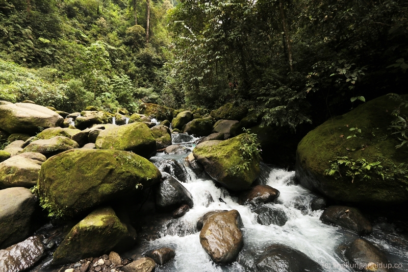Mengenali Lingkungan Hidup, Menata Kota Dan Pembangunan Berkelanjutan Menuju Bumi Semakin Menawan