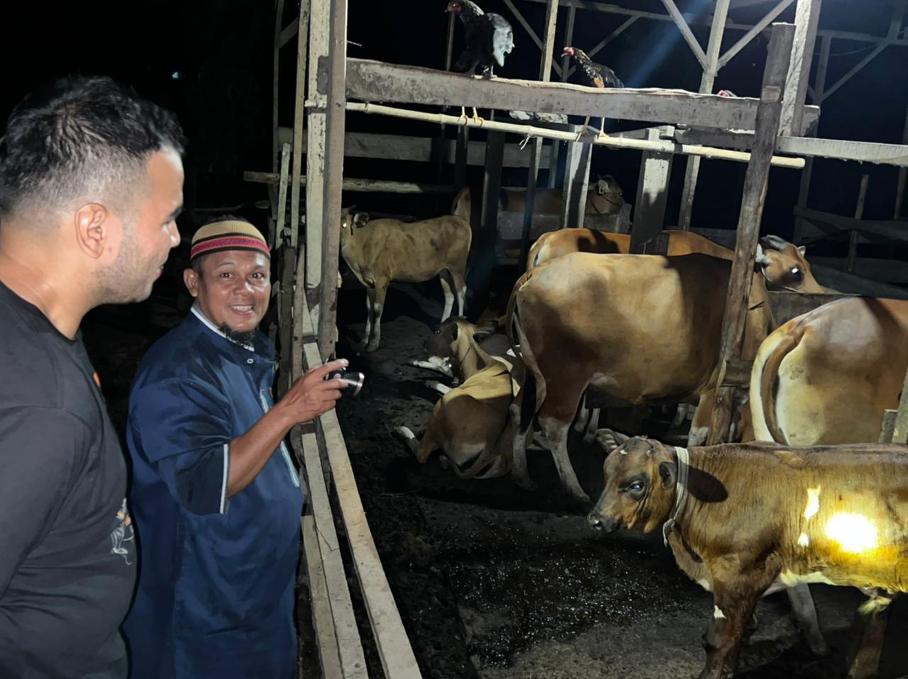 DPRD Provinsi Jambi Sebut Peternak Sapi di Tanjbabar Kesulitan Dapat Straw IB