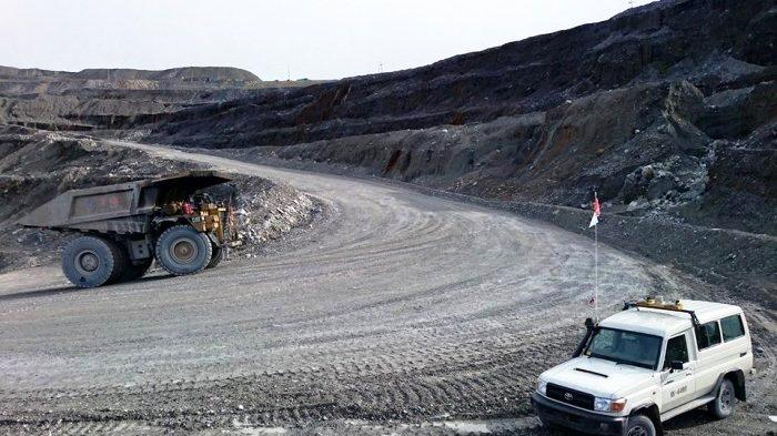 'Banyak yang Tak Percaya, Tapi Pembelian Sebagian Besar Saham Freeport Benar-benar Terjadi'