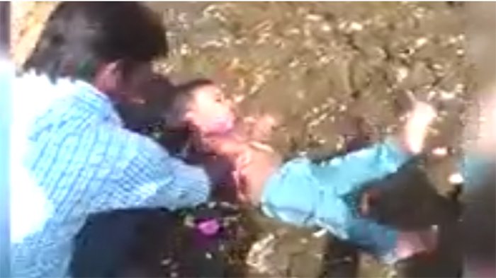 VIDEO - Orang Tua Lempar Anak-anak ke Kotoran Sapi, Sampai Nangis. Rupanya Ini Tujuannya!