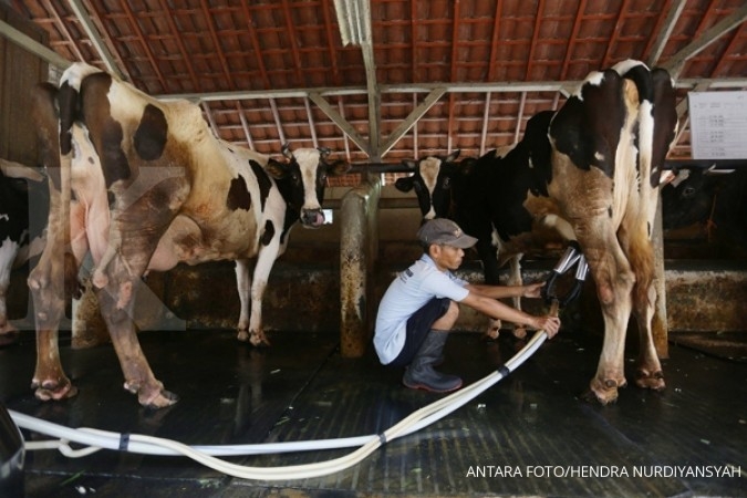 Jangan Berlebihan, Ini Bahayanya Konsumsi Susu Sapi Terlalu Banyak, Bisa Picu Alergi hingga Penyakit