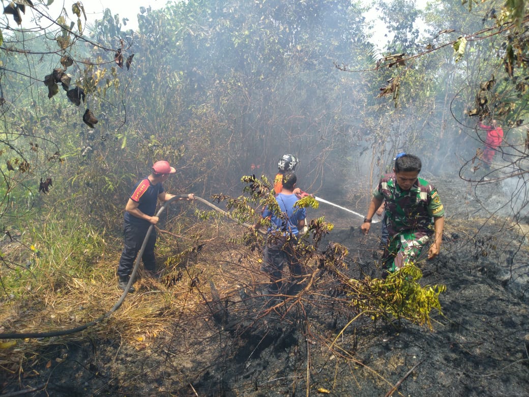 3 Hektar Lahan Warga di Sarolangun Terbakar, Status Karhutla Naik Menjadi Darurat