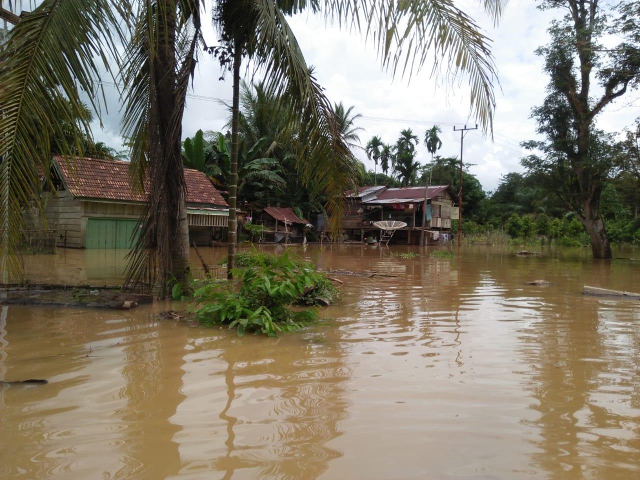 Curah Hujan Tinggi di Sarolangun Bikin Debit Sungai Batang Tembesi Naik Drastis