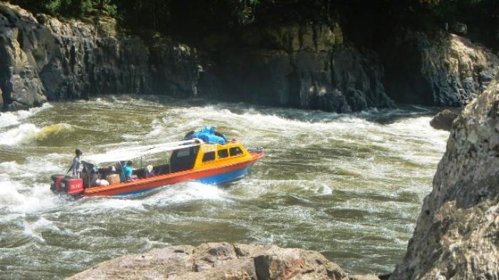 Astaga! Di Kampung Ini, Harga Ayam Potong Capai Rp 1 Juta per Ekor