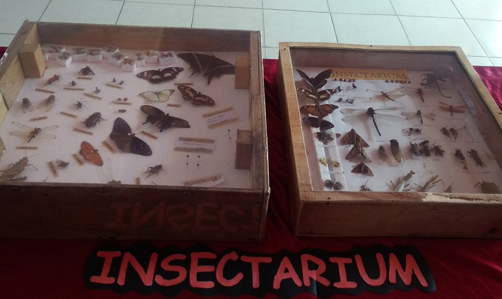 Bio Expo 2019, Mahasiswa Universitas Jambi Pamerkan Media Pembelajaran Biologi