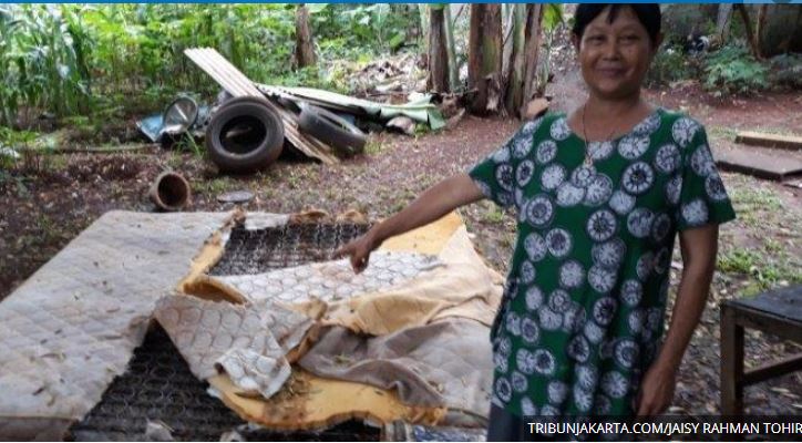 Nenek Rohimah Tak Sadar Ada Ular Panjang 3.5 m Terjebak di Dalam Kasur, Butuh 3 Jam Menangkapnya