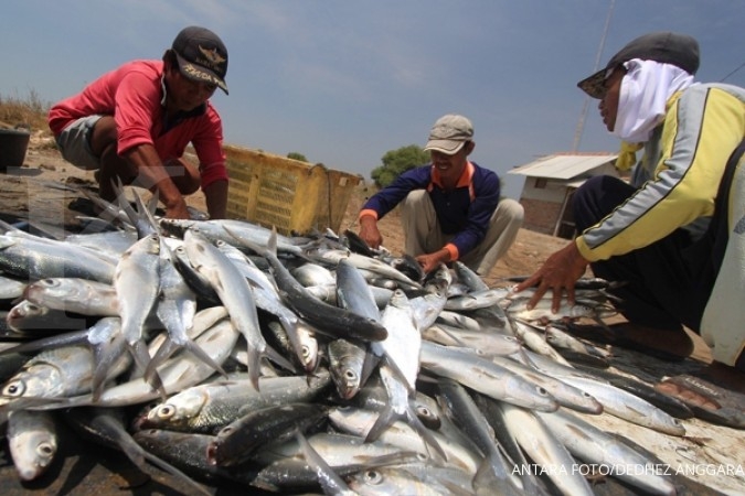 KKP Targetkan Produksi Ikan 50 Juta Ton tahun 2019