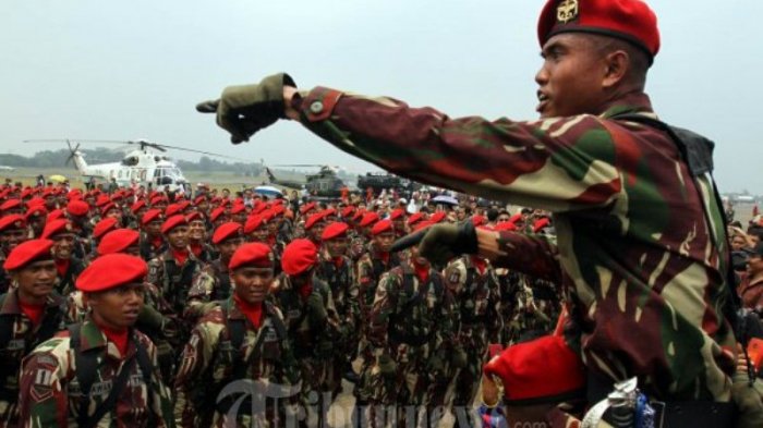 Kisah Anggota Kopassus, Mantan Preman Terminal Daftar Jadi Anggota TNI, Sempat Tidak Diterima