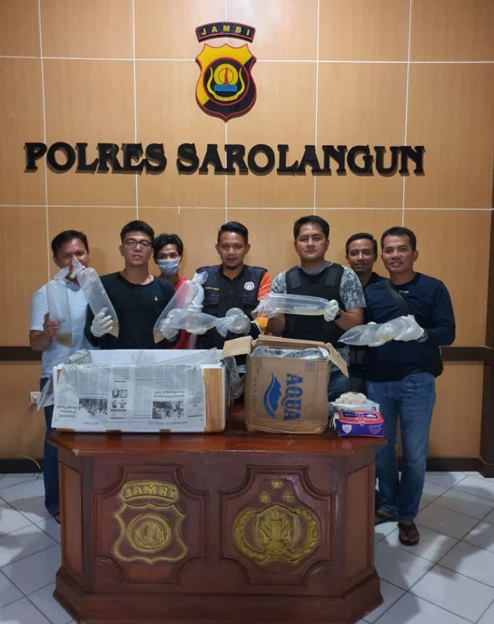 Dibawa dari Bengkulu Tujuan Jambi, 6 Ribuan Benih Baby Lobster Diamankan Polisi di Sarolangun