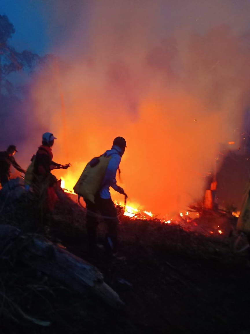 15 Hektare Hutan Konservasi TNBD di Sarolangun Terbakar, Waterboombing Bantu Petugas Padamkan Api