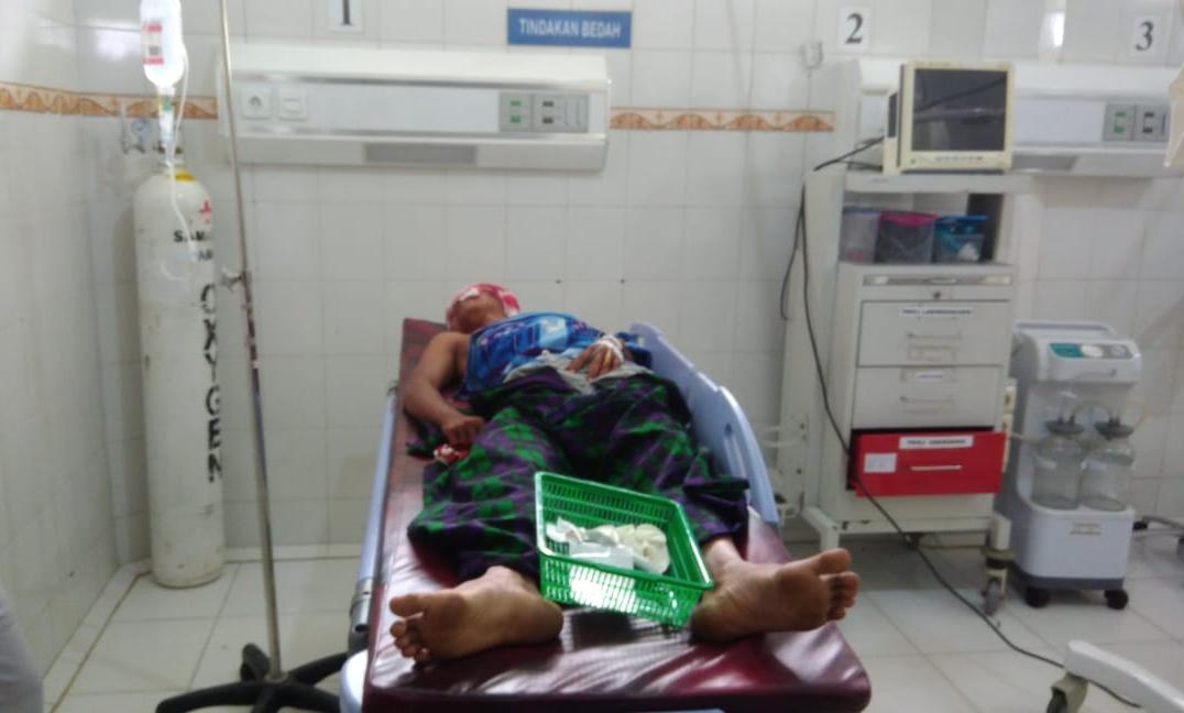 Konflik Binatang Buas dengan Warga, Polisi Koordinasi dengan BKSDA, Pasca Beruang yang Serang Warga