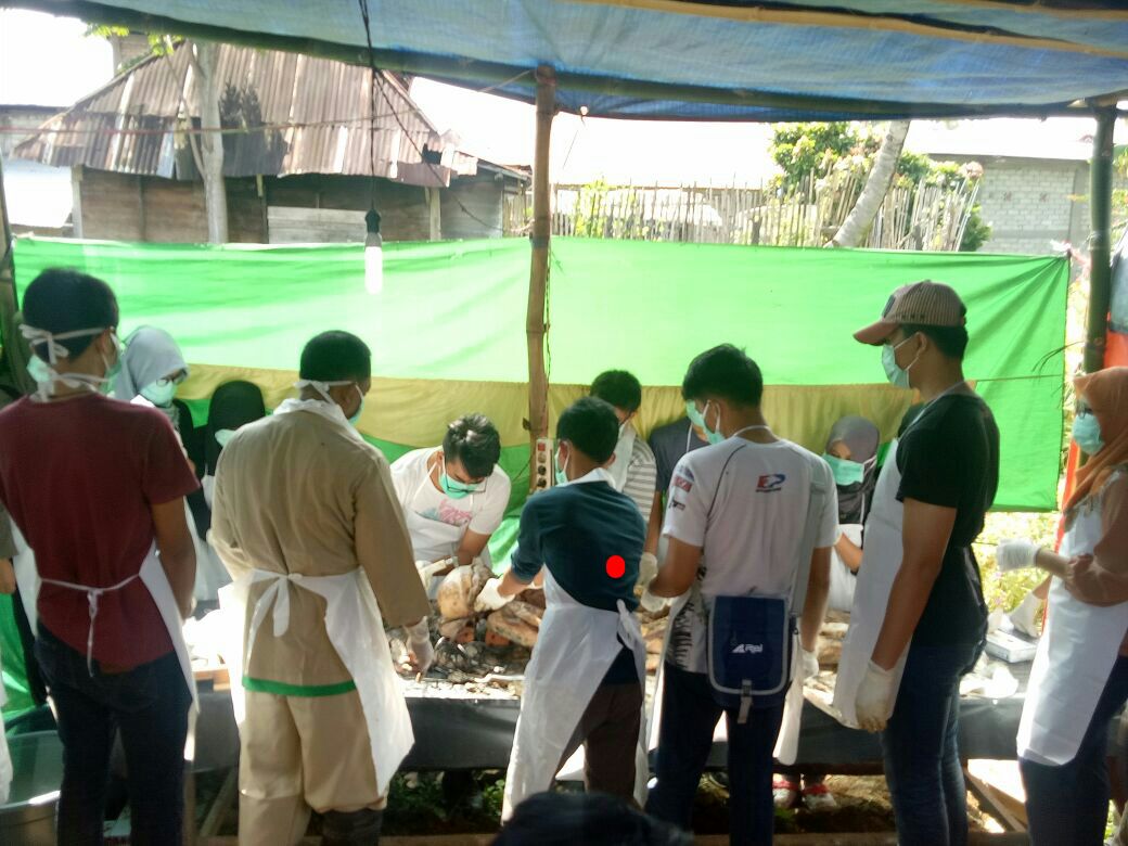 Tewas Dianiaya Pacar Ibunya, Makam Bocah 2 Tahun Dibongkar. Polisi Mengambil Sampel Rambut dan