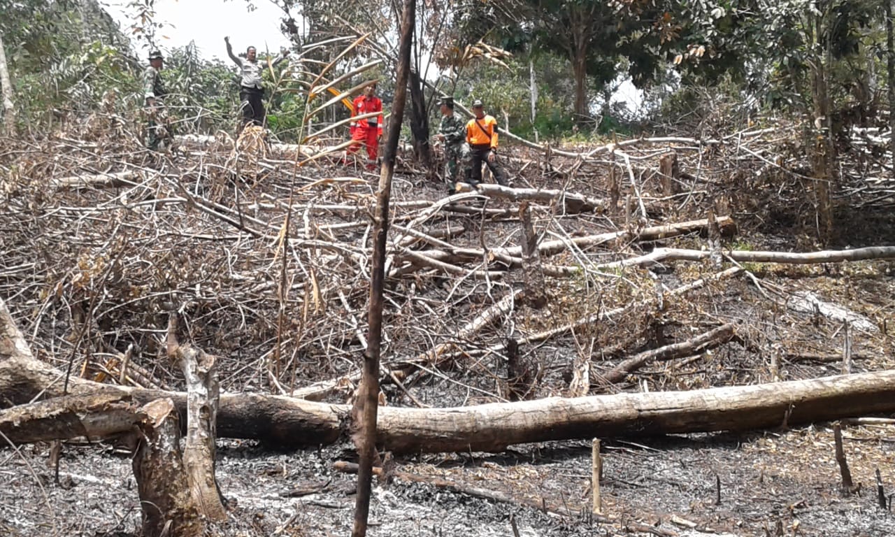 Batanghari Naik Status Siaga Karhutla, Ini Wilayah yang Berpotensi Naikkan Status Menurut BPBD Jambi