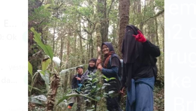 Dikasih Sarapan oleh Penolong, Kisah Tiga Mahasiswi yang Tersesat di Gunung Masurai