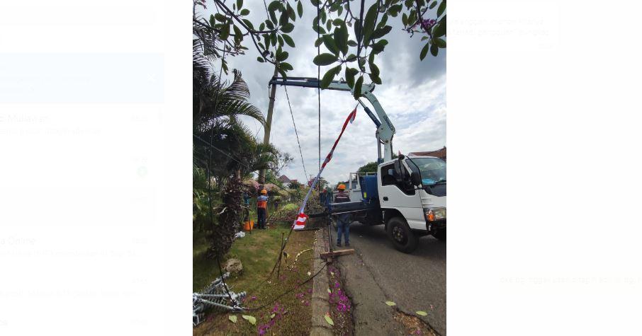 PLN Jambi Buka Suara Soal Mobil Tertimpa Tiang Listrik di Mayang, Bermula dari Pohon Tumbang