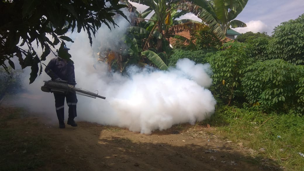 Sudah 2 Warga Kota Jambi Meninggal Karena DBD 2020 Ini, Petugas Lakukan Pengasapan di Sejumlah Titik