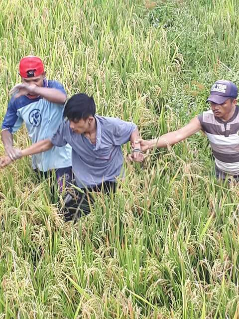 Beredar Video Copet di Sungai Liuk Diamuk Massa, Dikejar Sampai ke Tengah Sawah