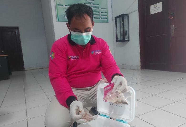 2-SAD-di-Tebo-Jambi-Meninggal-Dunia-Setelah-Makan-Madu-Klanceng-dari-Hutan.jpg