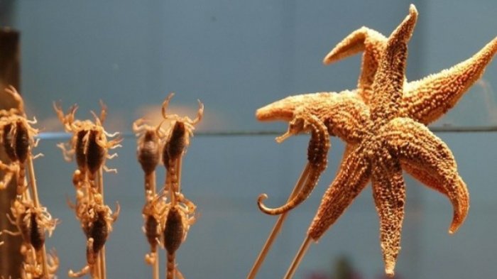 Prediksi Nasib Orang Sagitarius Pada 2018, Anda atau Pasangan Musti Waswas akan Kondisi Ini