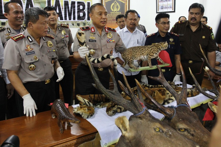 Kasus Offset Hewan, Penyidik Masih Tunggu Jaksa