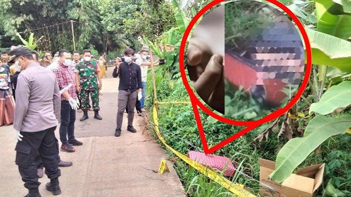 Mayat Tanpa Identitas dalam Koper Ditemukan di Semak-Semak, Sebagian Anggota Tubuh Hilang Misterius
