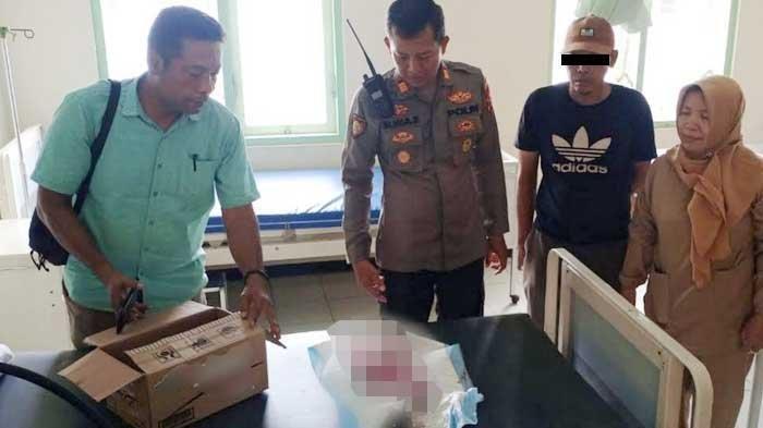 Suami Bu Kades Ngaku Temukan Bayi dalam Kardus, Eh Ternyata Anaknya Sendiri Hasil Selingkuh